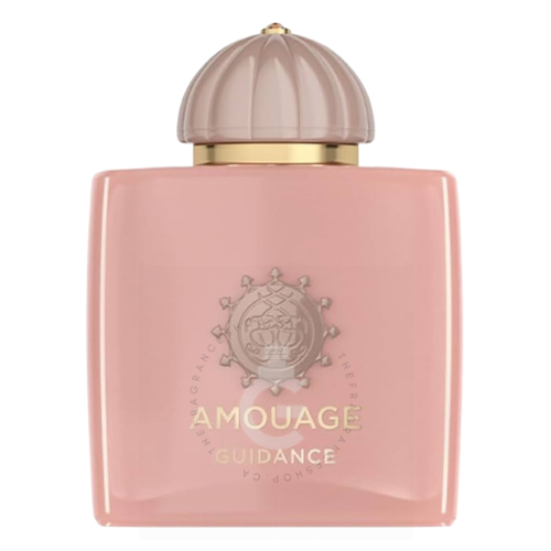 Amouage Guidance EDP For Him / Her 100 ml / 3.4 Fl. oz. 
