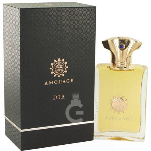 Amouage Dia EDP for Him 100mL