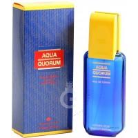 Antonio Puig Quorum Aqua EDT for him 100mL