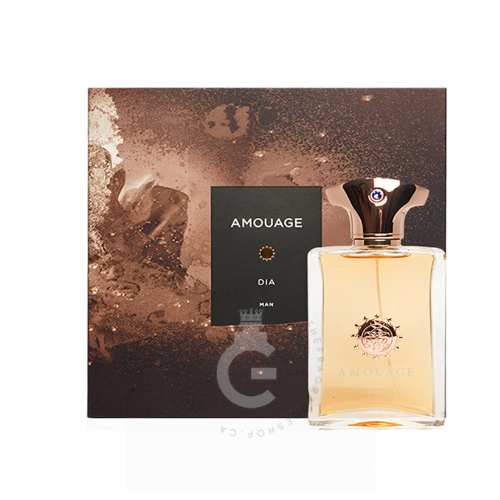 Amouage Dia EDP for Him 100ml - New Pack